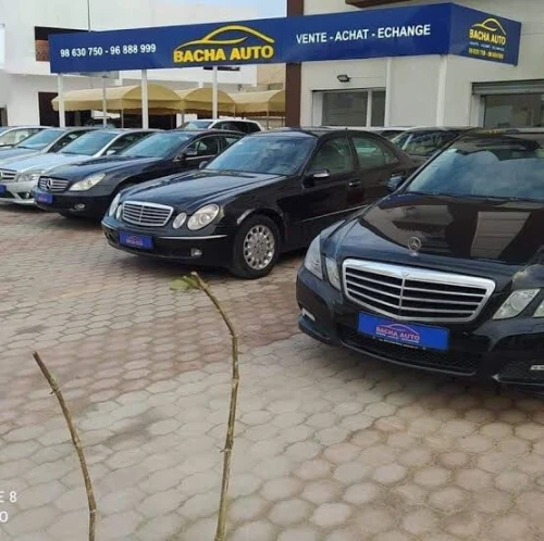 Location Local Alger Staoueli