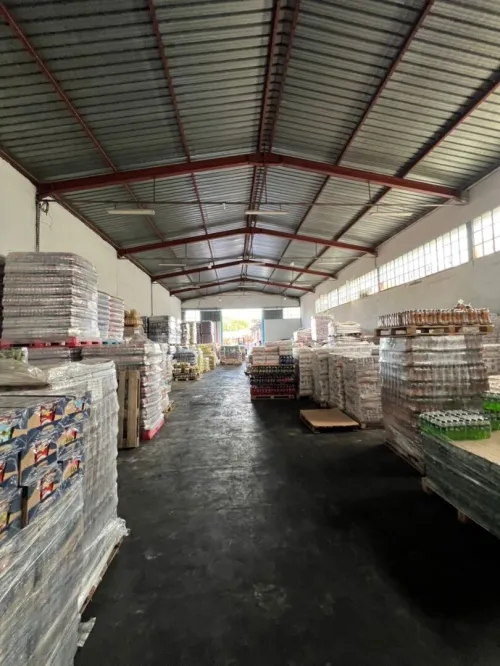 Location Hangar - Usine Blida Blida