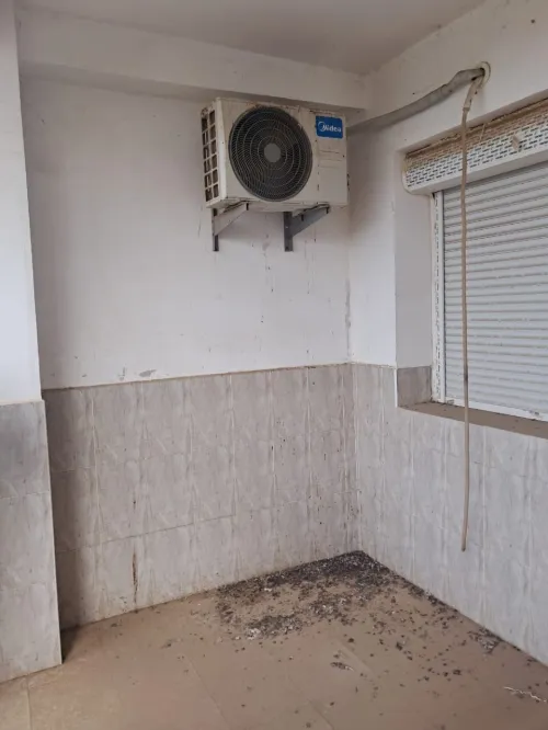 Location Appartement F3 Blida Bouinan