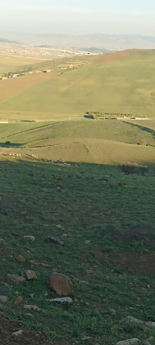 Vente Terrain Agricole Bordj Bou Arreridj Medjana