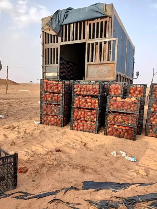 Vente Terrain Agricole In Salah Foggaret Ezzoua
