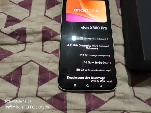 vivo x300 pro