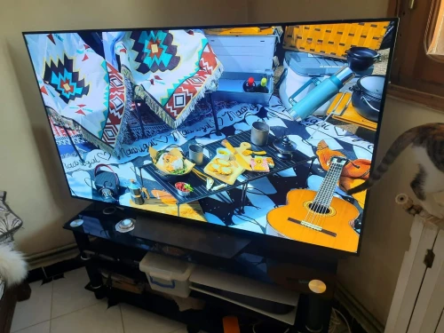 Lg oled cs4 55p
