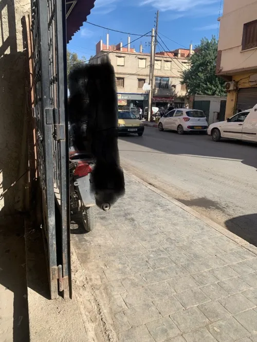 Vente Local Blida Mouzaia