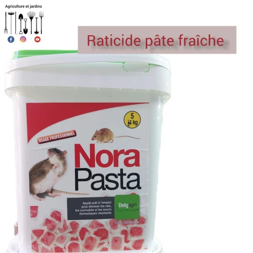 RATICIDE PATE FRAICHE 