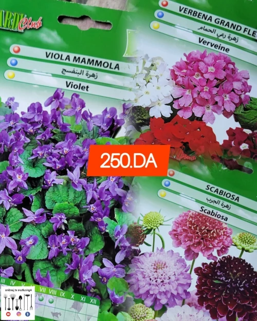 Semences fleurs (partie 1)