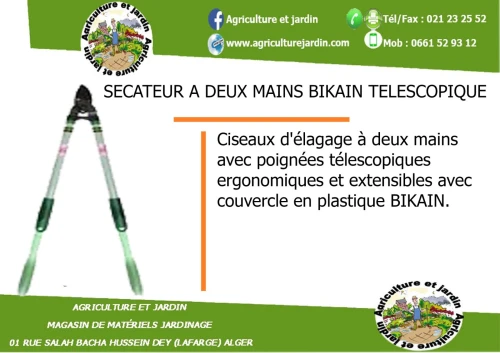 sécateur à deux mains télescopique 