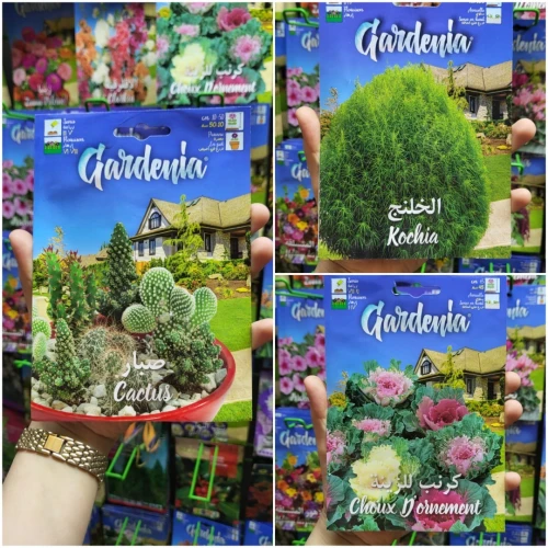 Semences fleurs/ زريعة الورد و الأزهار