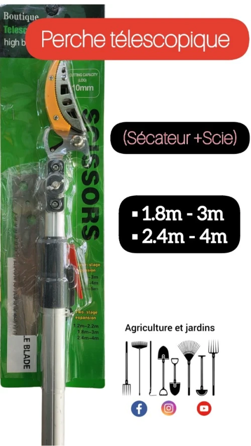 Perche télescopique (sécateur +Scie)