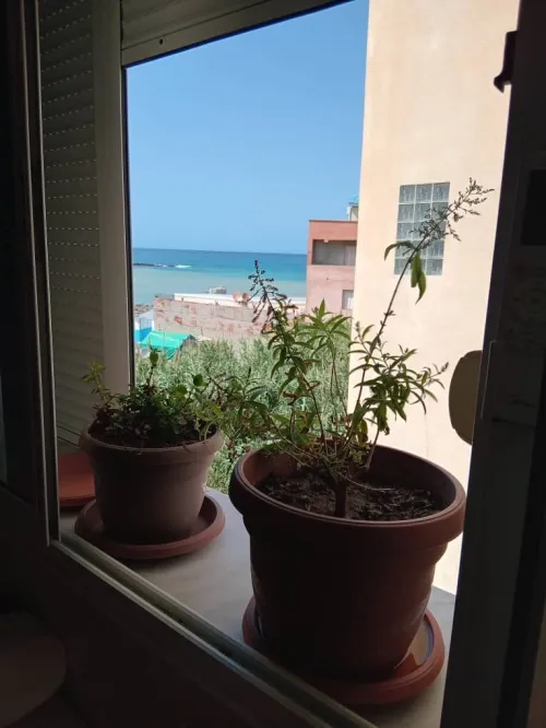 Location vacances Appartement F4 Béjaïa Bejaia