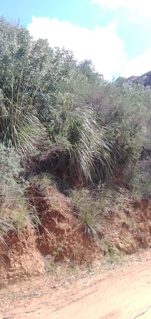 Vente Terrain Bejaia Boukhelifa
