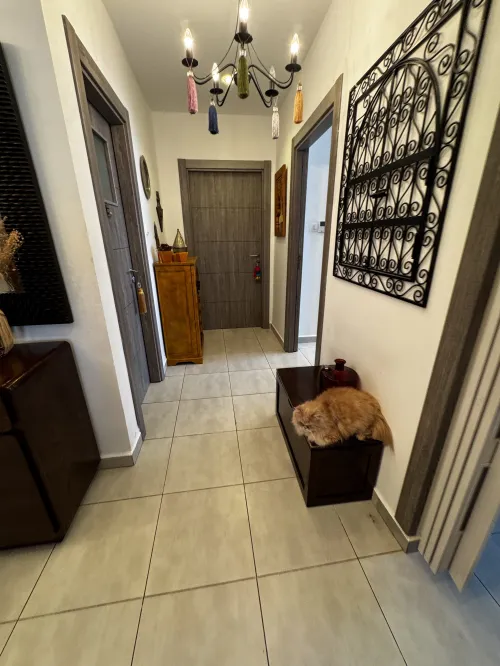 Vente Appartement F5 Oran Oran