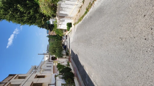 Vente Villa Alger El biar