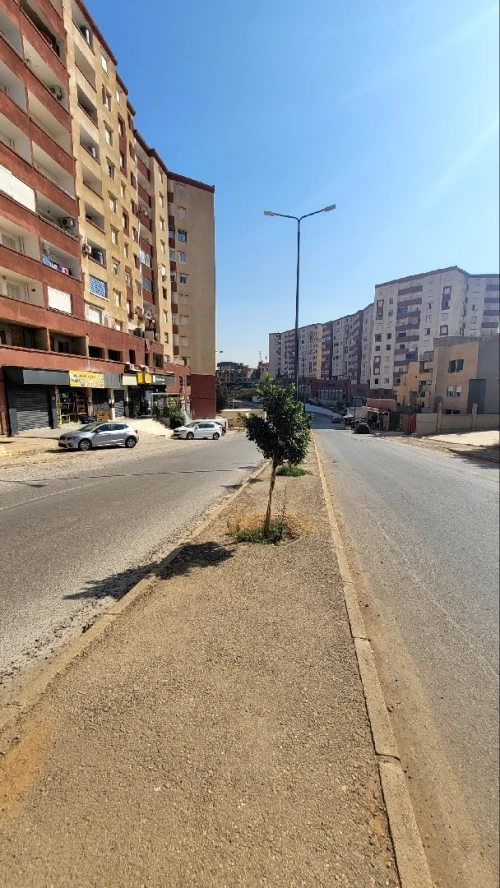 Location Local Alger Draria