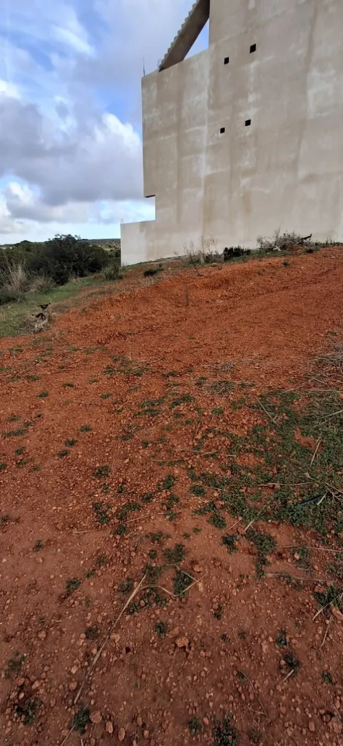 Vente Terrain Tipaza Ain tagourait