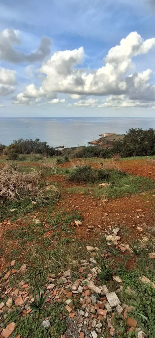 Vente Terrain Tipaza Ain tagourait