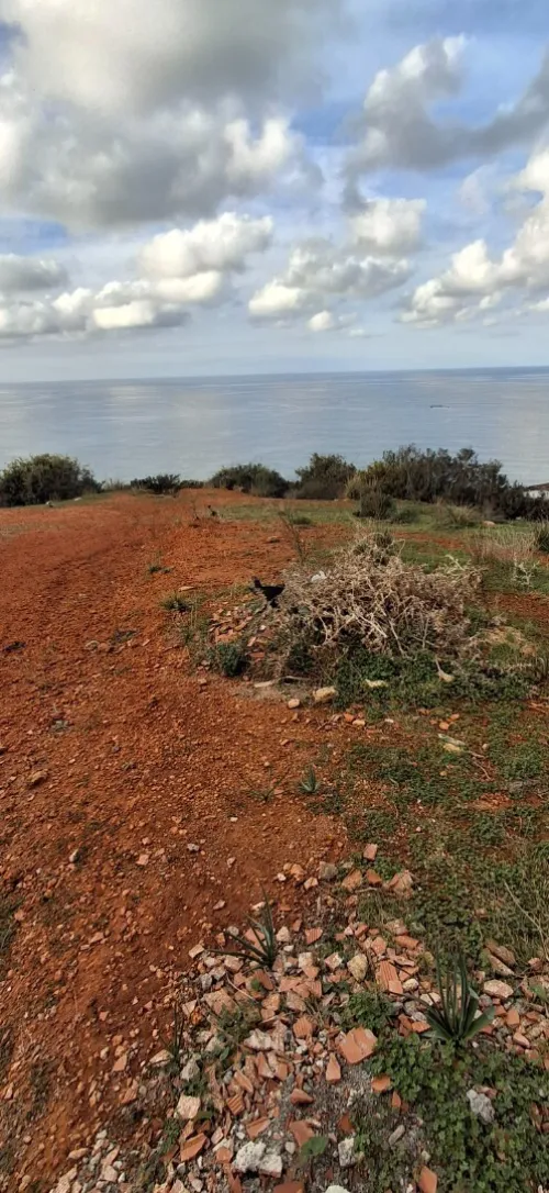 Vente Terrain Tipaza Ain tagourait