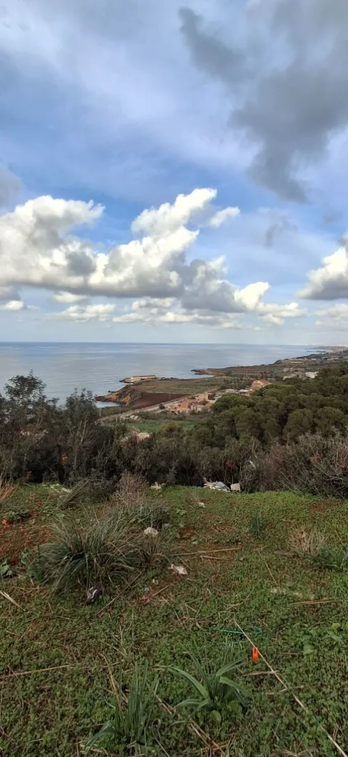 Vente Terrain Tipaza Ain tagourait