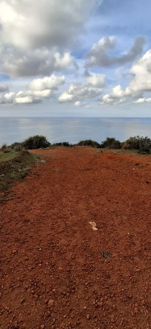 Vente Terrain Tipaza Ain tagourait