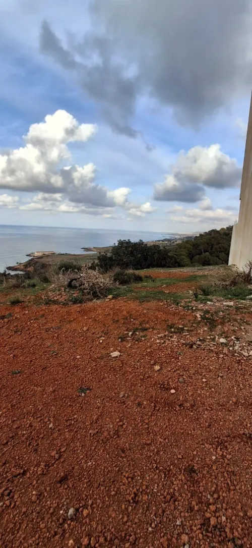 Vente Terrain Tipaza Ain tagourait