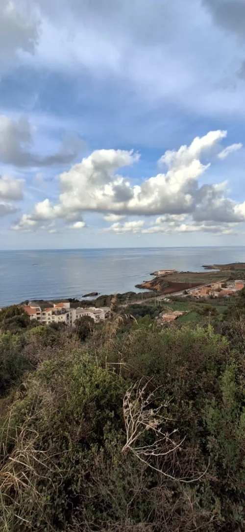 Vente Terrain Tipaza Ain tagourait