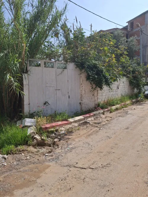 Vente Terrain Alger Khraissia