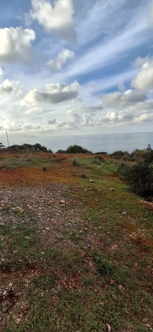 Vente Terrain Tipaza Ain tagourait