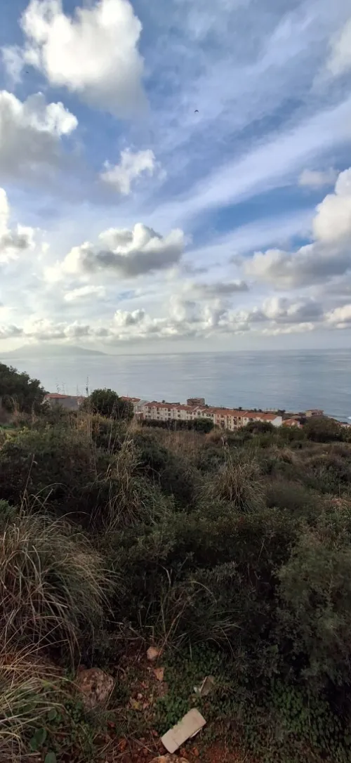 Vente Terrain Tipaza Ain tagourait