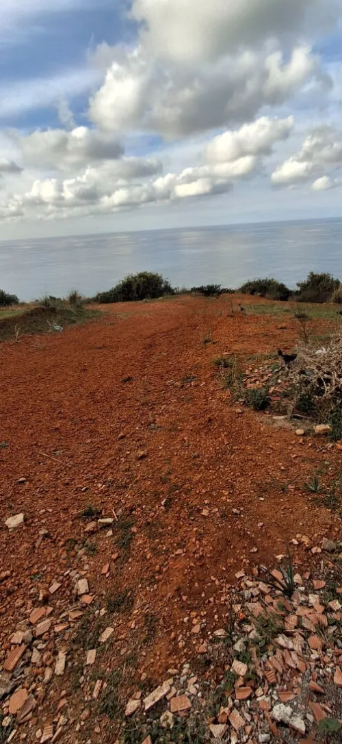 Vente Terrain Tipaza Ain tagourait