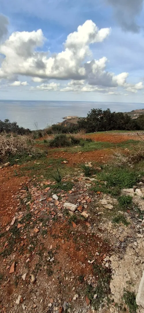 Vente Terrain Tipaza Ain tagourait