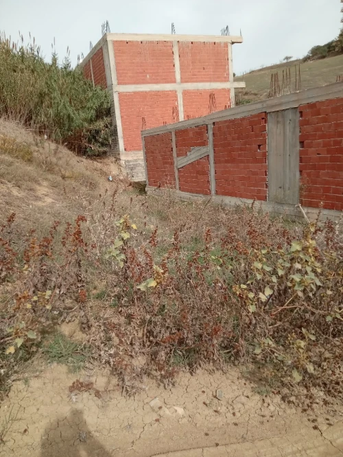 Vente Terrain Alger Douera