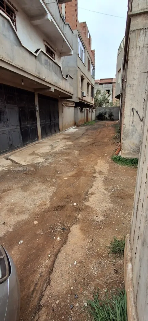 Vente Carcasse Alger Saoula