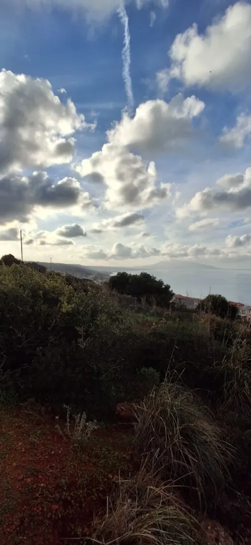 Vente Terrain Tipaza Ain tagourait