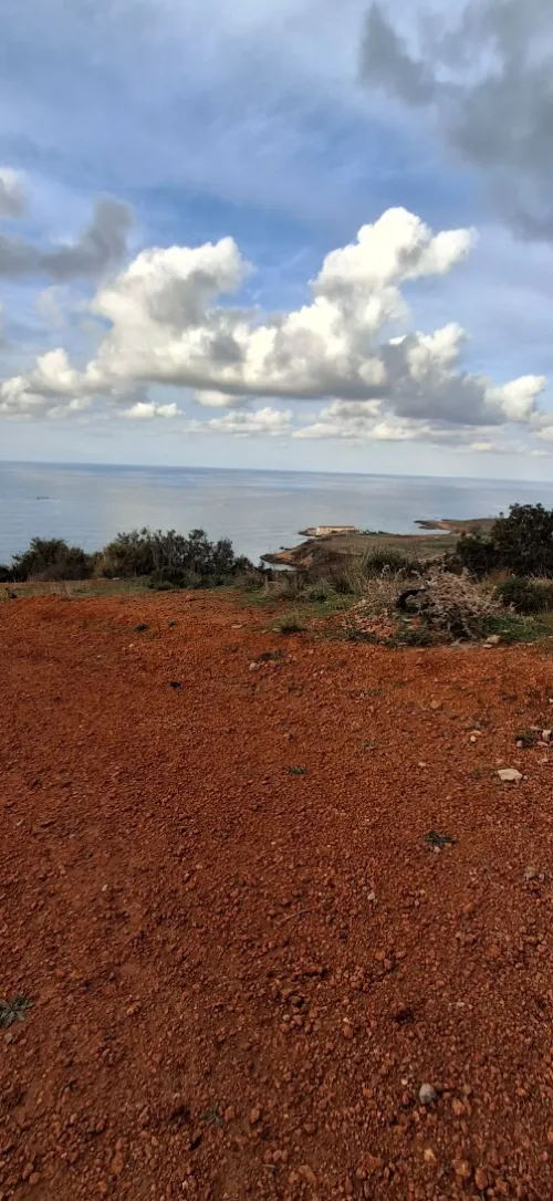 Vente Terrain Tipaza Ain tagourait