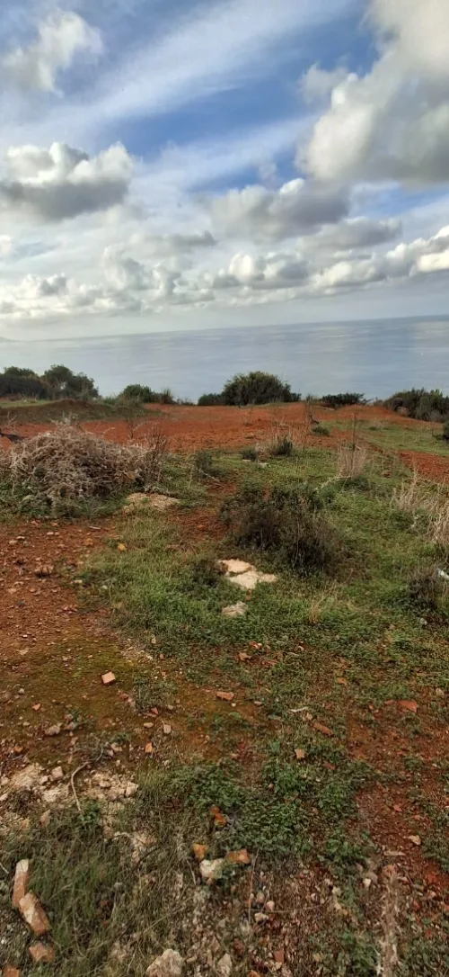 Vente Terrain Tipaza Ain tagourait