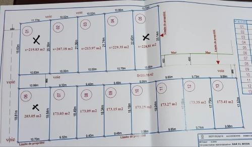 Vente Terrain Alger Bordj el kiffan