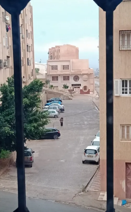 Vente Appartement F3 Tlemcen Tlemcen