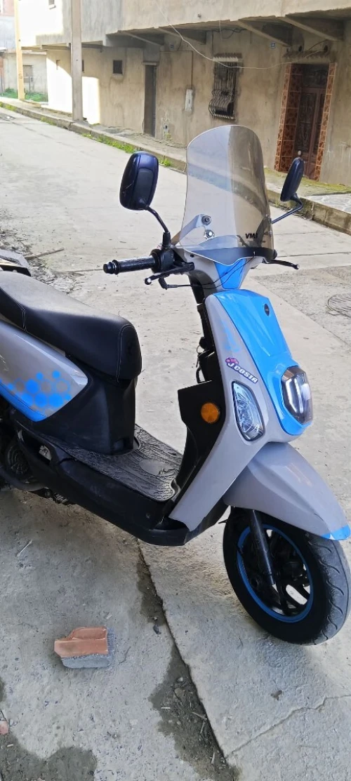 VMS estate x 2025