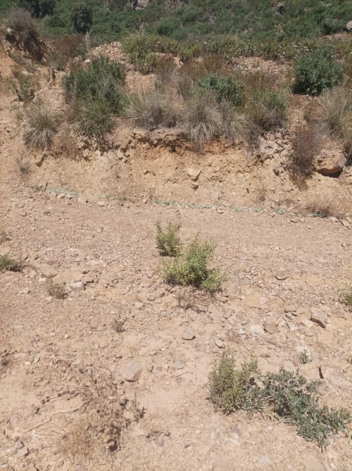 Vente Terrain Béjaïa Oued ghir