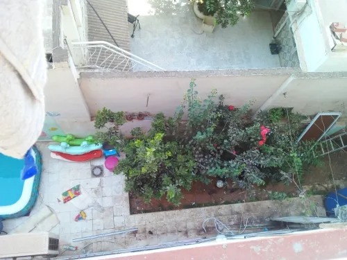 Location Local Alger El madania