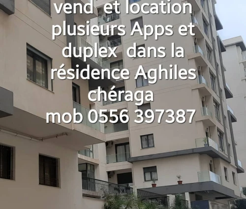 Vente Appartement F4 Alger Cheraga