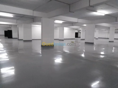Vente Appartement F4 Alger Cheraga