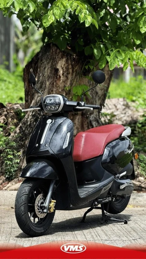 Vms Panaria 2025