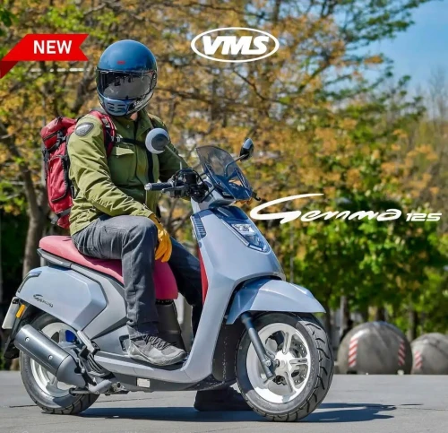 Vms Gemma 2025