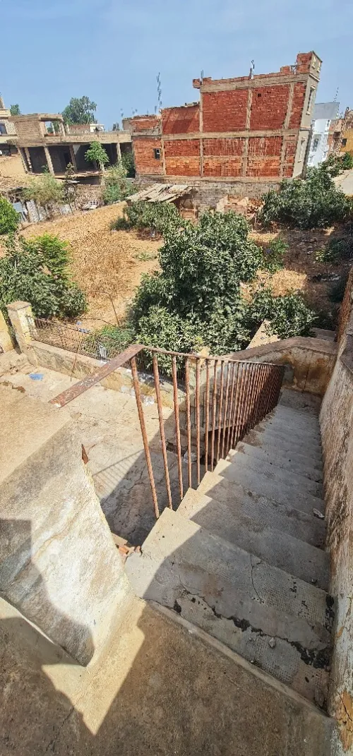 Vente Terrain Aïn Témouchent El malah