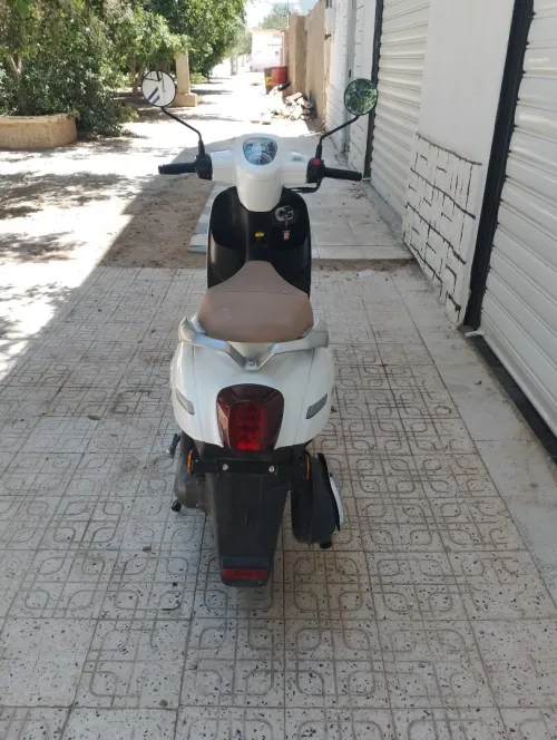 VMS benelli panarea 2024
