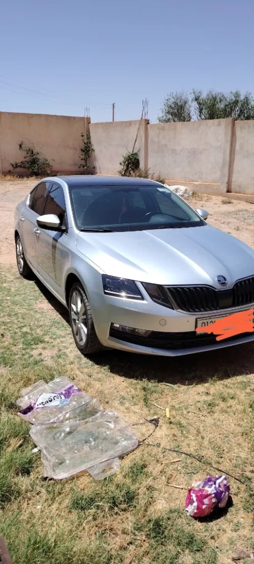 Skoda Octavia 2019 Clever