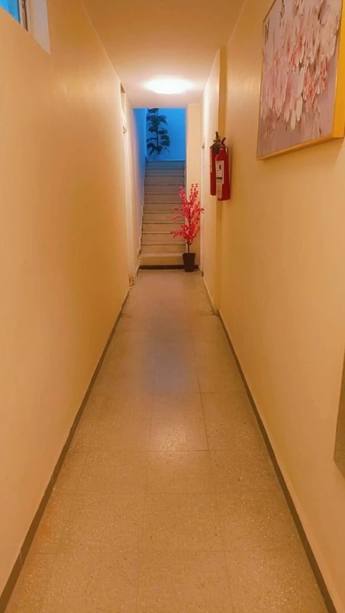 Location Appartement Studio Alger Bab ezzouar