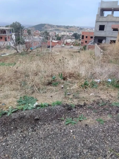 Vente Terrain Boumerdès Larbatache