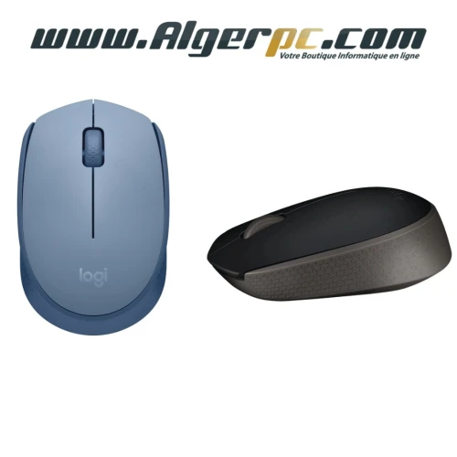 Souris Logitech M171 sans Fil/3 boutons